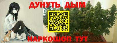 синтетический гашиш Будённовск