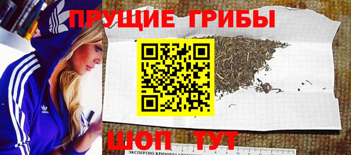 Галлюциногенные грибы Magic Shrooms  где купить наркоту  Рязань  Вход с VPN 