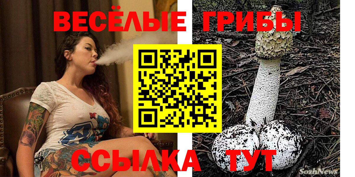 Псилоцибиновые грибы ЛСД Рязань